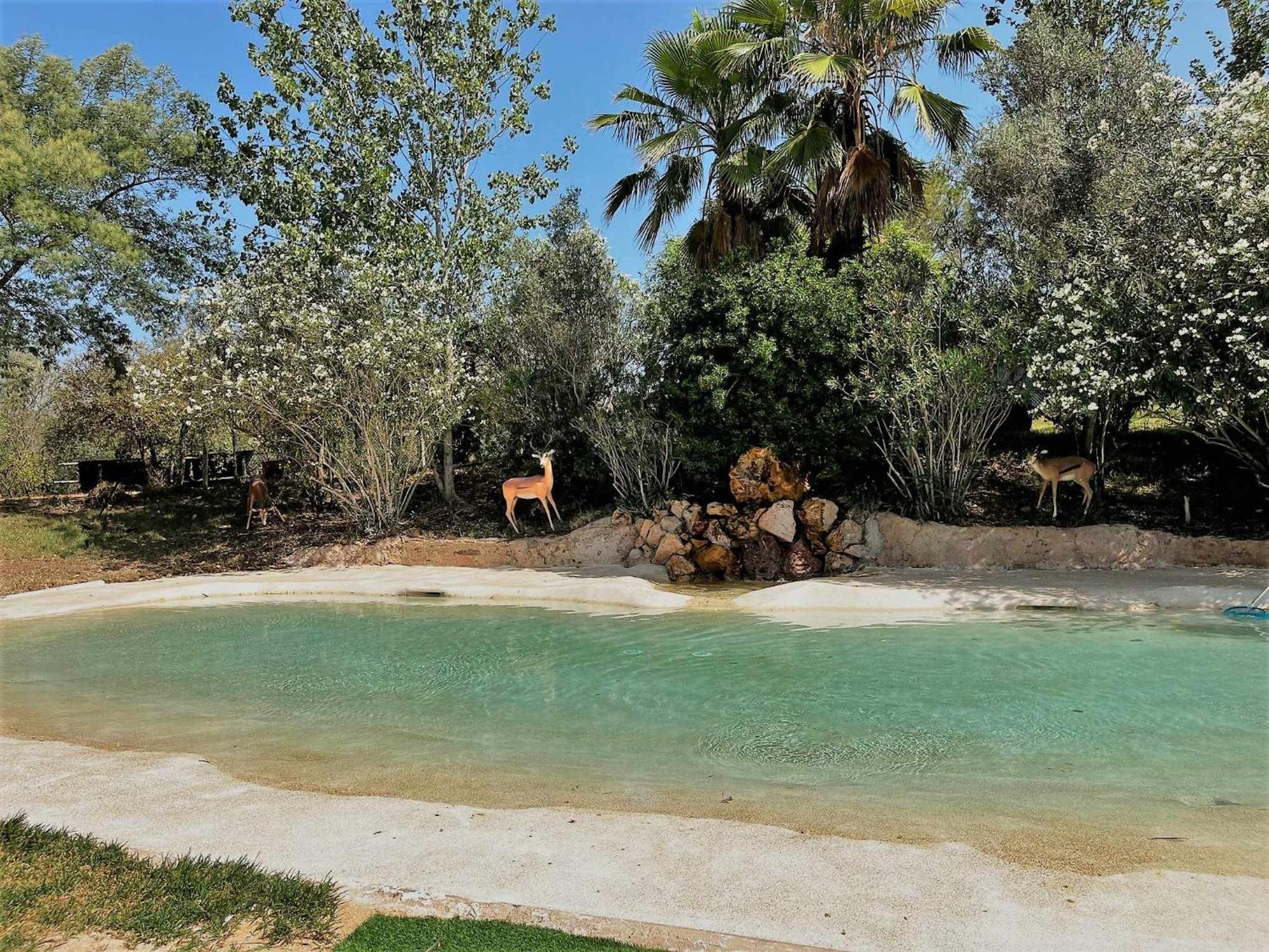 Parque Da Mina Hotell Monchique Eksteriør bilde